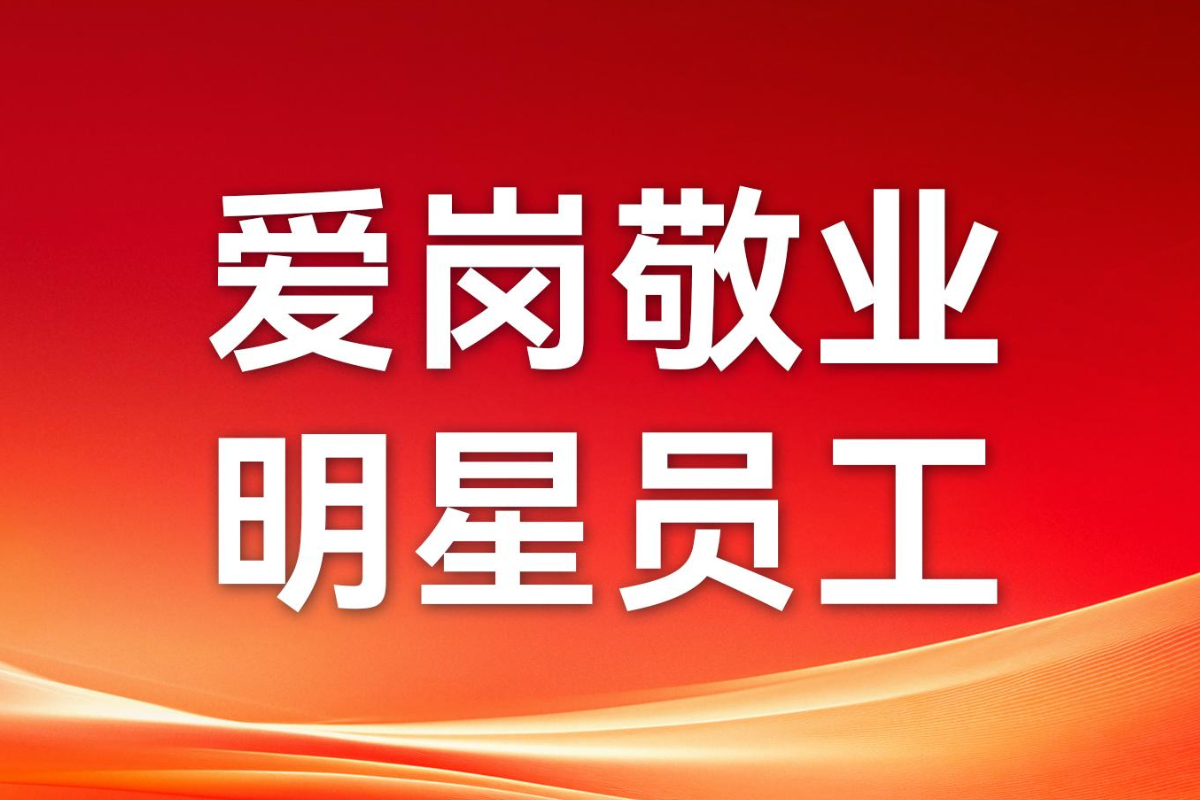 榜样力量丨中玖闪光2025年一季度爱岗敬业员工风采！