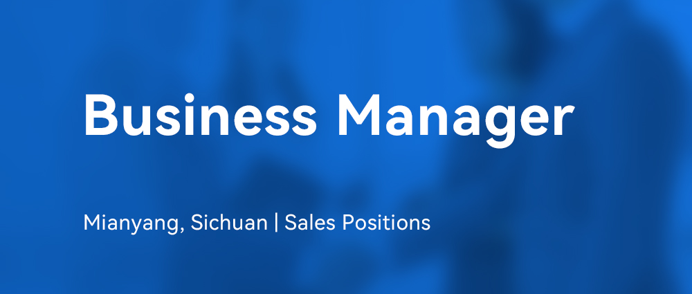 Business Manager