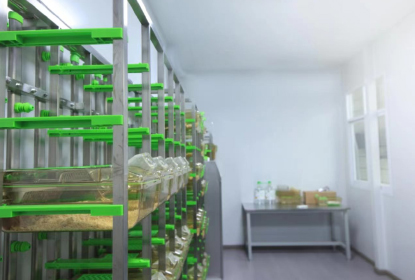 Animal Experiment Scheduling