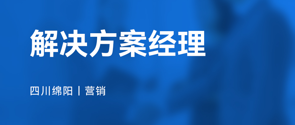 解决方案经理