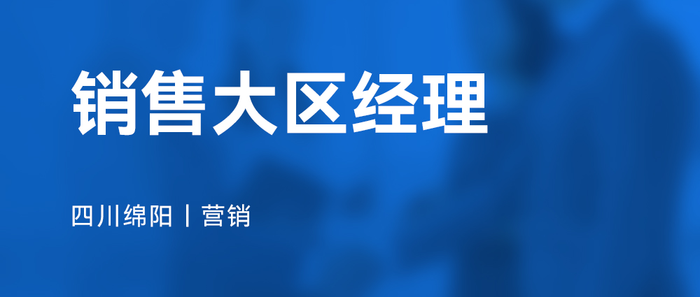 销售大区经理